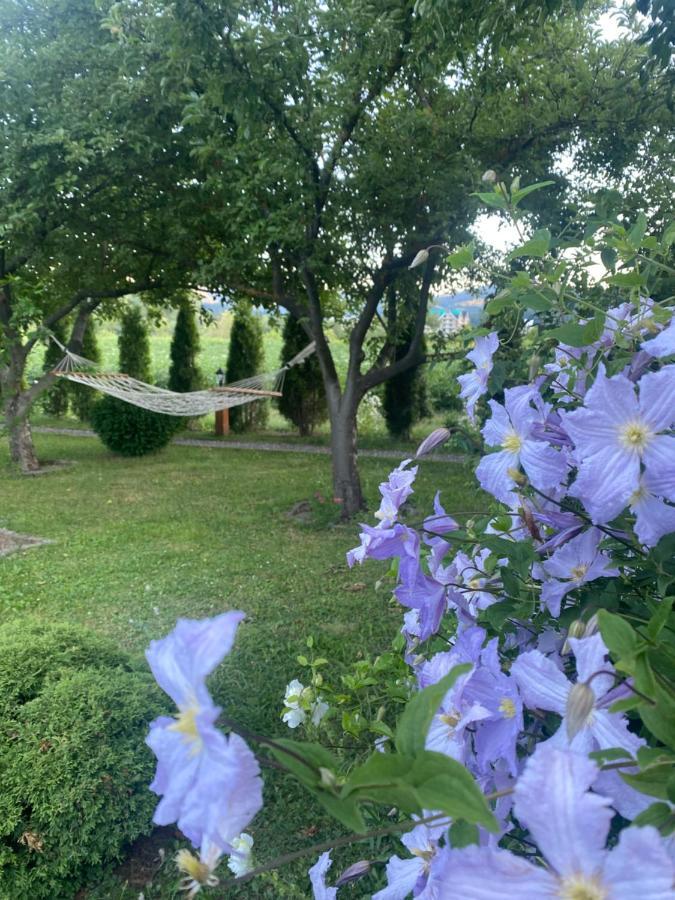 Blue Village Lux Kolaşin Dış mekan fotoğraf
